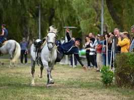 KURULTAI 2026 ULUSLARARASI FESTİVALİ BÜYÜK BAŞARIYA İMZA ATTI!