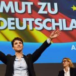 afd meclis