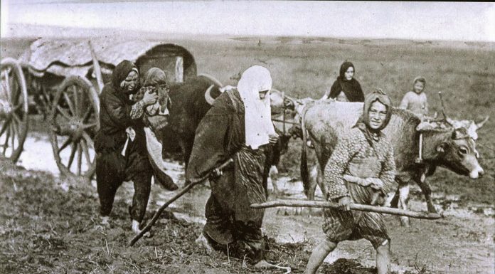 ANADOLU