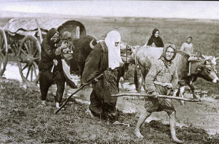 ANADOLU