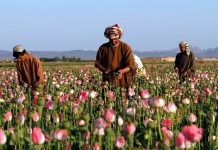 Taliban’ın ekonomik olanakları nelerdir?