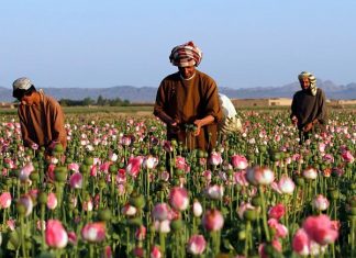 Taliban’ın ekonomik olanakları nelerdir?