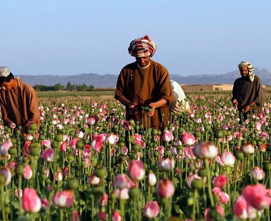 Taliban’ın ekonomik olanakları nelerdir?