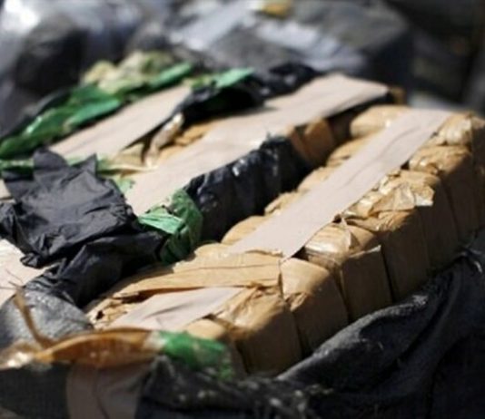Türkiye’ye gönderilecek tonlarca kokain ele geçirildi