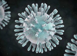 Kolombiya’da yerli halklar arasında ilk koronavirüs vakaları
