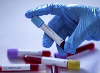 Dünya Sağlık Örgütü’nden son dakika Türkiye açıklaması!