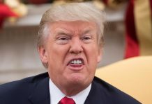 Almanlar Trump’tan neden korkuyor?